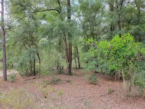 lot S 55-59 Nw 16th Pl, Ocala, FL 34482