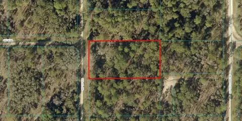 tbd SW Lot 11 Sw 125th Ter, Dunnellon, FL 34432