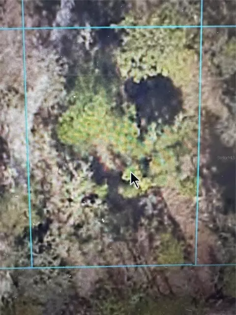 SE 125th Lane, Belleview, FL 34420