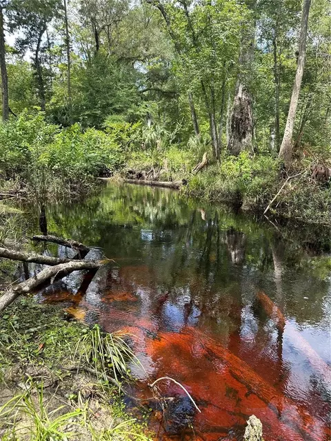 tbd NE Hwy 318 Hwy, Fort Mc Coy, FL 32134