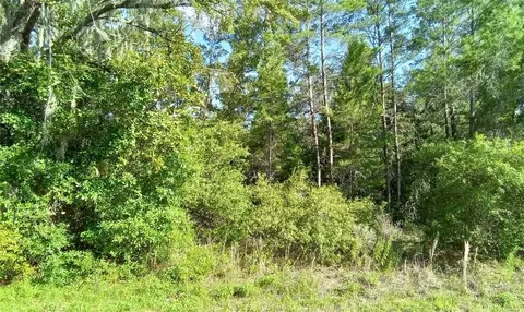 Oaks Pass Loop, Ocala, FL 34472