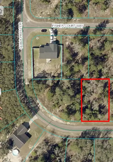 0 Guava Pass Ter, Ocklawaha, FL 32179