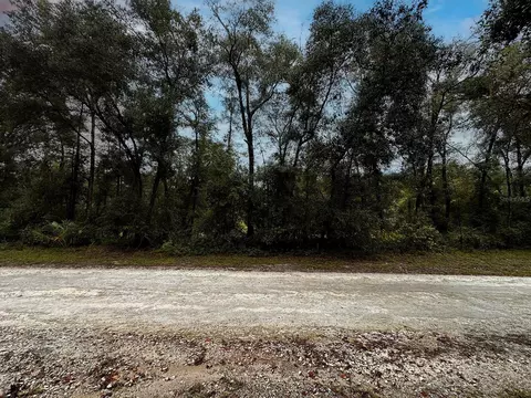 tbd Saint Patrick Dr, Dunnellon, FL 34432
