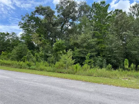 tbd SW Tamiami Pl, Dunnellon, FL 34431