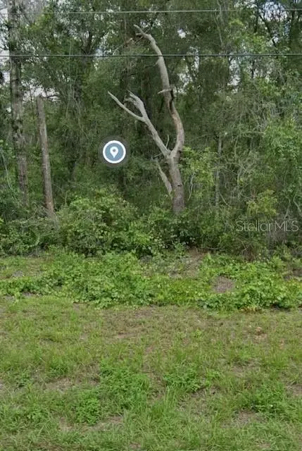 3129 E George St, Inverness, FL 34453