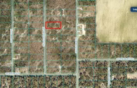 SW Willow Road Ext, Dunnellon, FL 34431