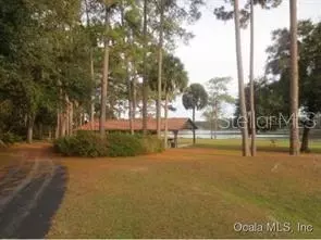 7 Th Loop, Silver Springs, FL 34488 photo 9