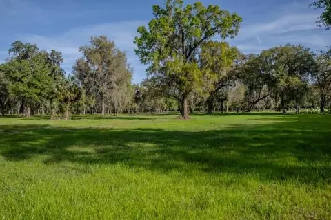 tbd W Hwy 316, Reddick, FL 32686
