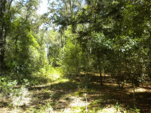 10366 N Burgundy Pt, Dunnellon, FL 34433
