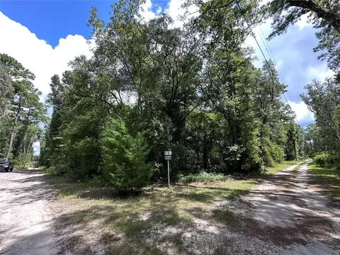 tbd NE 166 St, Fort Mc Coy, FL 32134