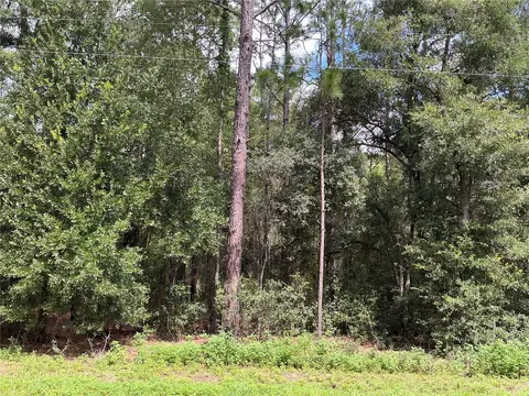 SW 202nd Court, Dunnellon, FL 34431