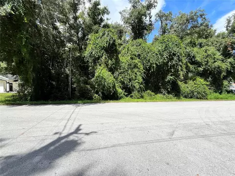 00 SE 92 Ter, Summerfield, FL 34491