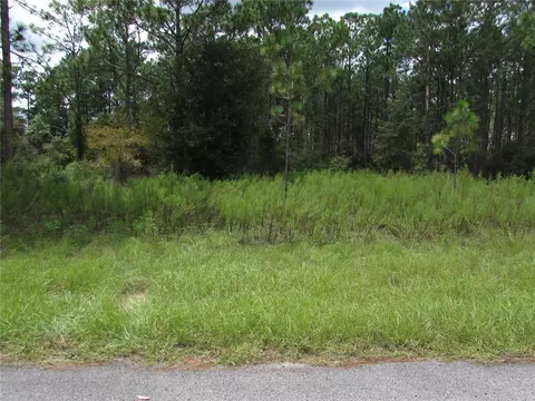 lot19 SW 207 Ct, Dunnellon, FL 34431