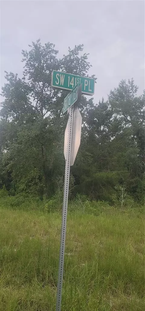 lot4 SW 141 Pl, Ocala, FL 34473