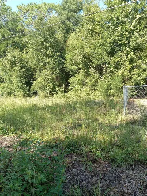 SE 164th Avenue, Silver Springs, FL 34488