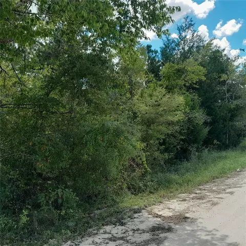 13620 SE 23rd Pl, Morriston, FL 32668