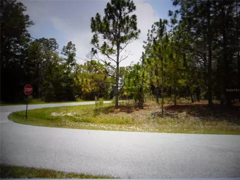 7585 N Susan Ave, Dunnellon, FL 34433