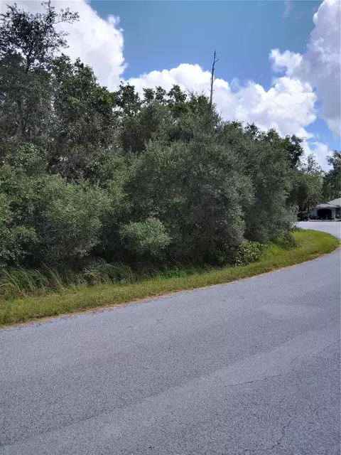 0 Holly Run, Ocala, FL 34472