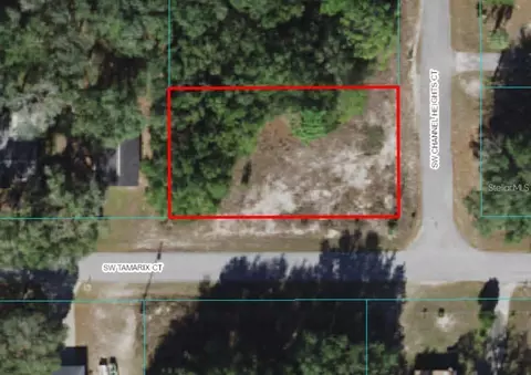 lot10 SW Tamarix Ct, Dunnellon, FL 34431