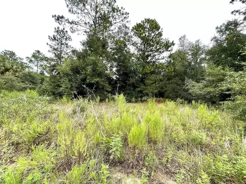 Begonia Court, Dunnellon, FL 34431