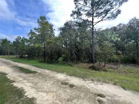 tbd SW 138th Ter, Dunnellon, FL 34432