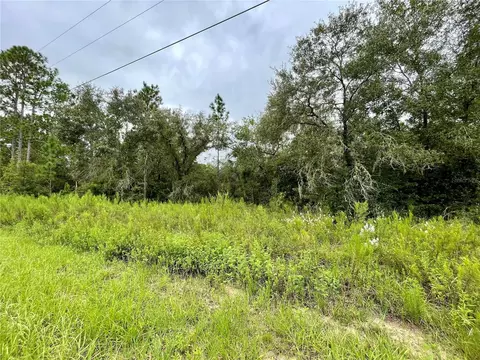 Floral Ct, Dunnellon, FL 34431