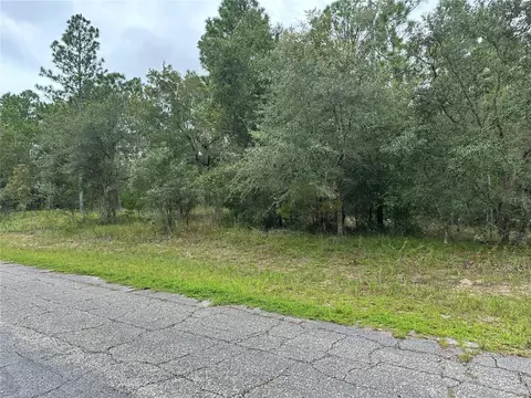 9607 N Lily Dr, Citrus Springs, FL 34434