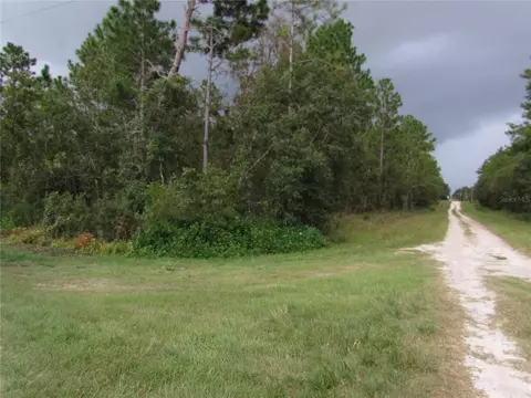 lot13 SW 78th Pl, Dunnellon, FL 34432
