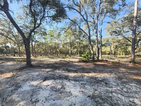 tbd NE 122nd Ct, Bronson, FL 32621