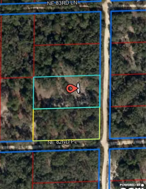 T.b.d NE 122nd Court, Bronson, FL 32621