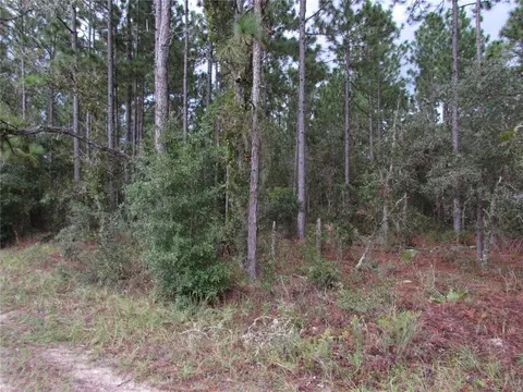 lot11 SW 96th Ln, Dunnellon, FL 34432