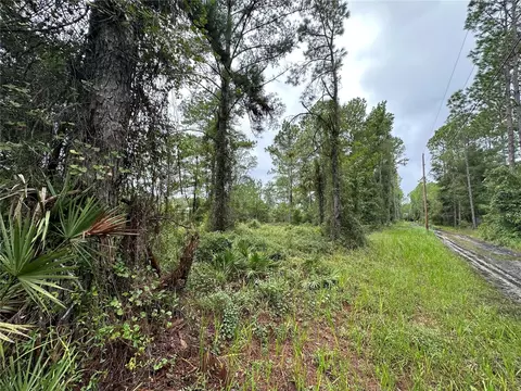 tbd NE 155th St, Fort Mc Coy, FL 32134