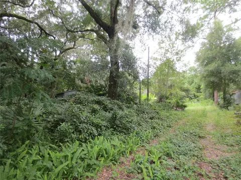 16865 SE 3rd Pl, Silver Springs, FL 34488