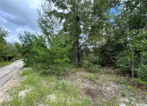 125 Susan Rd, Hawthorne, FL 32640