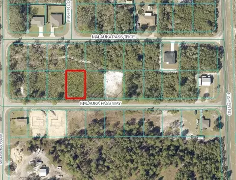 0 Malauka Pass Way, Ocklawaha, FL 32179