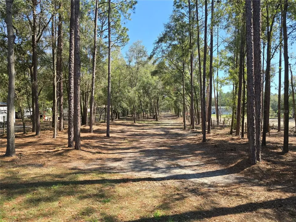  3174 SW 189th Ave, Dunnellon, FL 34432 photo 4