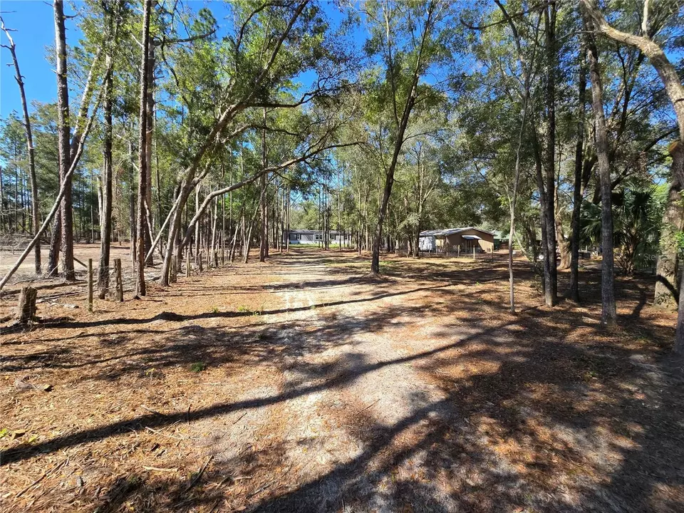  3174 SW 189th Ave, Dunnellon, FL 34432 photo 59
