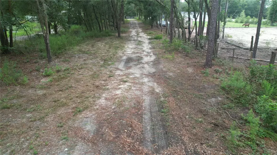  3174 SW 189th Ave, Dunnellon, FL 34432 photo 50