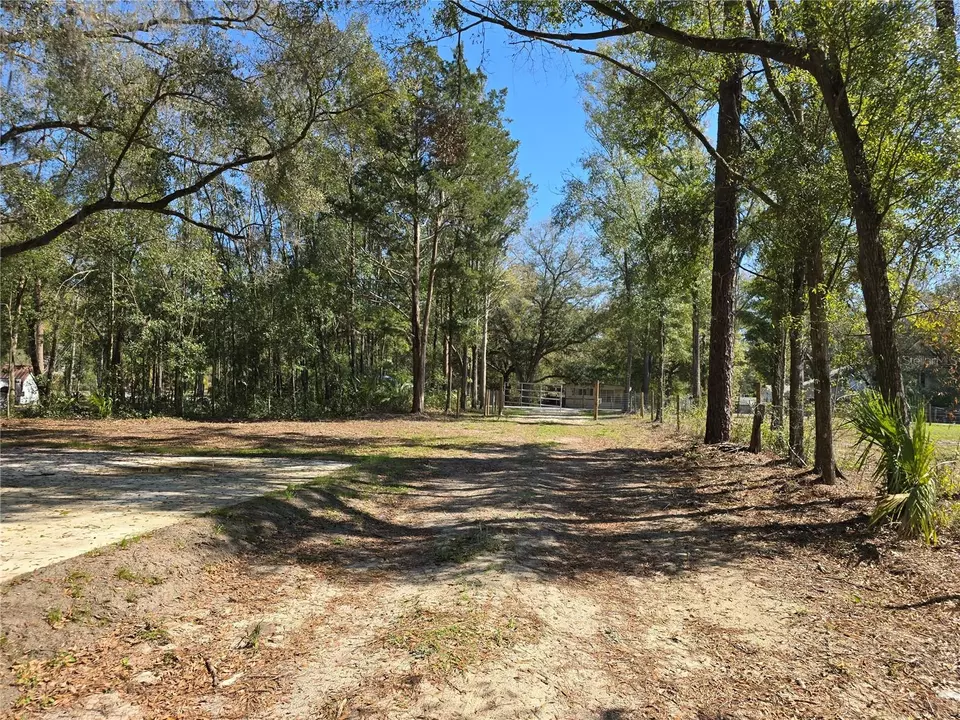  3174 SW 189th Ave, Dunnellon, FL 34432 photo 55