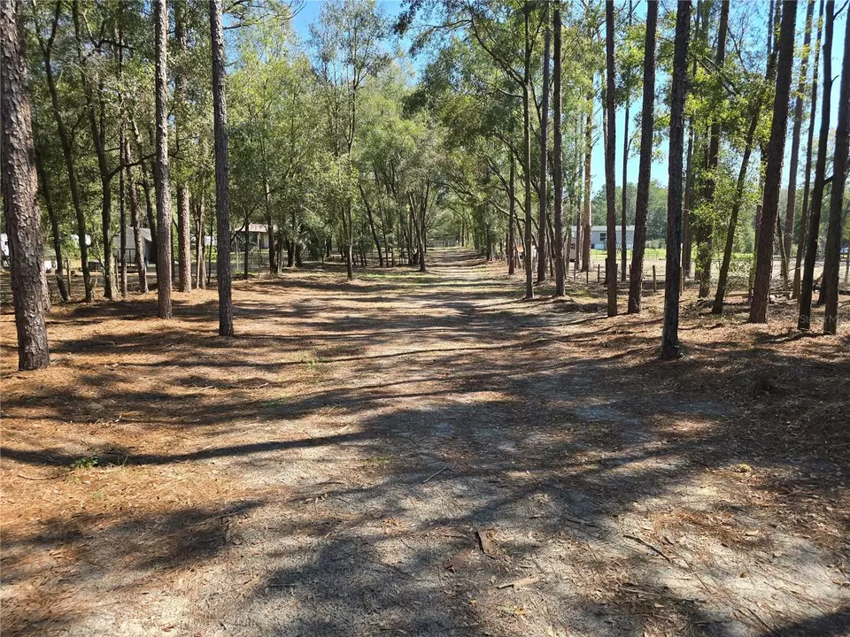  3174 SW 189th Ave, Dunnellon, FL 34432 photo 63