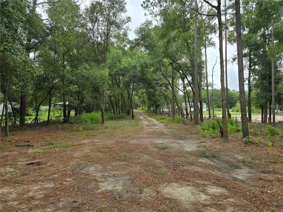  3174 SW 189th Ave, Dunnellon, FL 34432 photo 48