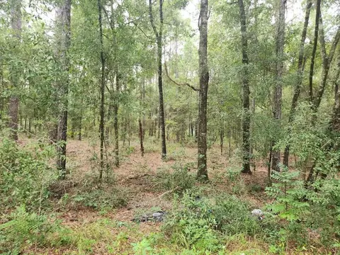 lot7 SW 159th Ave, Ocala, FL 34481