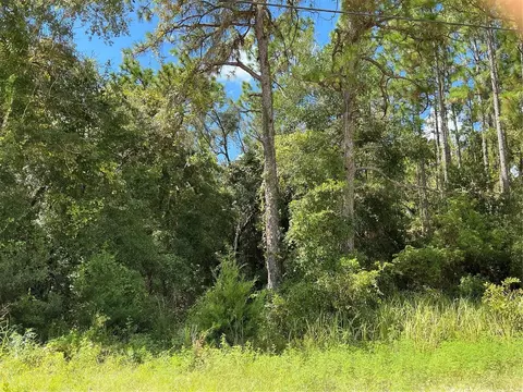 14040 Ruffed Grouse Rd, Weeki Wachee, FL 34614
