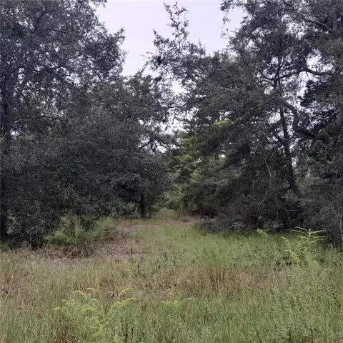 1090 NE 128th Ave, Williston, FL 32696