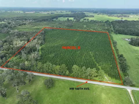 Parcel B NW 160th Avenue, Morriston, FL 32668