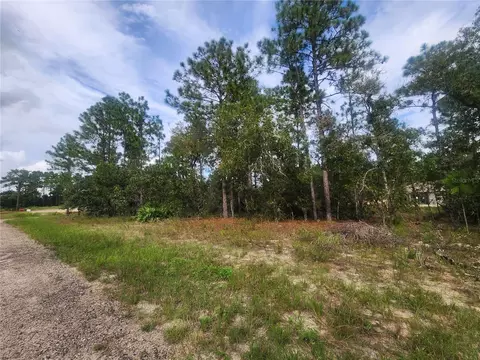 9931 N 9913 N Swanee Ter, Dunnellon, FL 34433