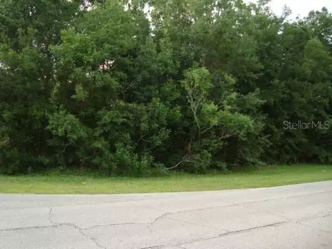 tbd SE 74th Ave, Belleview, FL 34421