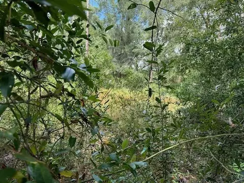lot202122 SW Peach Blossom St, Dunnellon, FL 34431