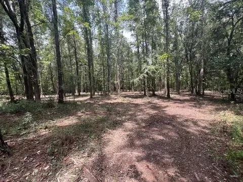 tbd NW 142 St, Williston, FL 32696