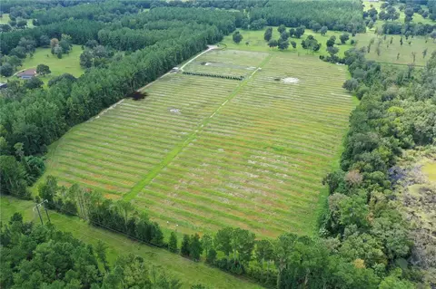 tbd NW 112th Ct, Reddick, FL 32686